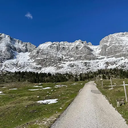 アパート Forest Michael セッラ・ネヴェア